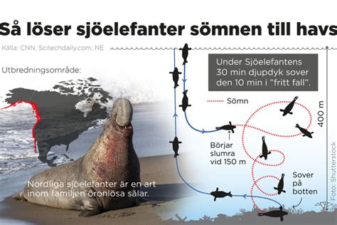 Integritet hos Iulidae: En Stilla Jätte Med Tusentals Ben